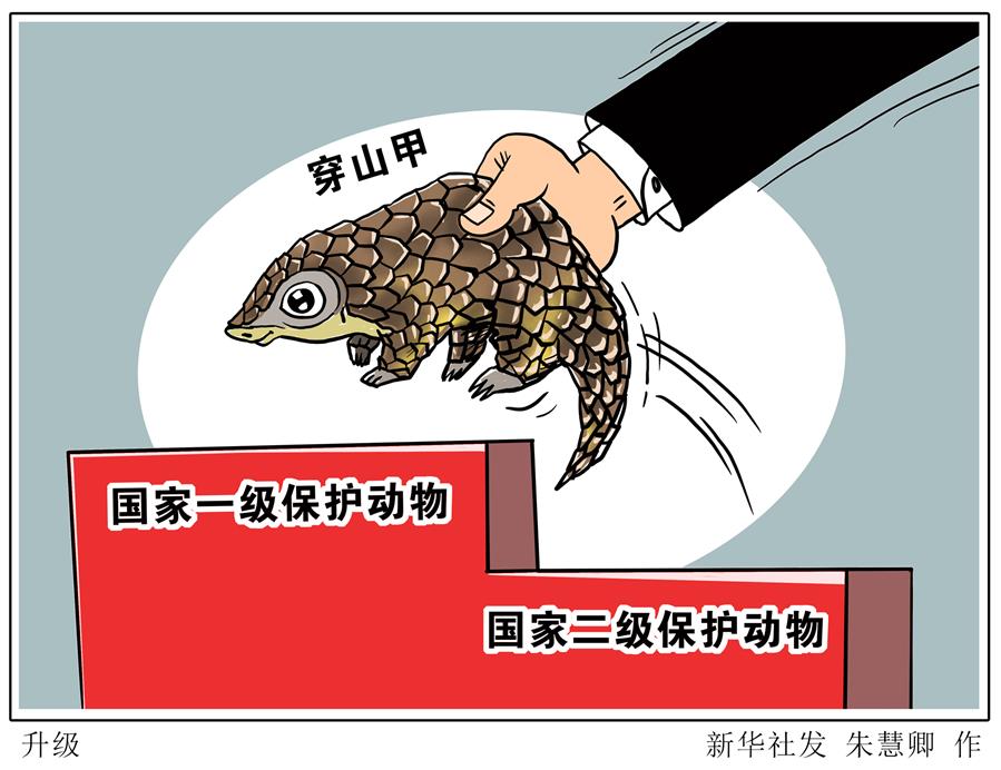 （圖表&middot;漫畫）［環(huán)境］升級