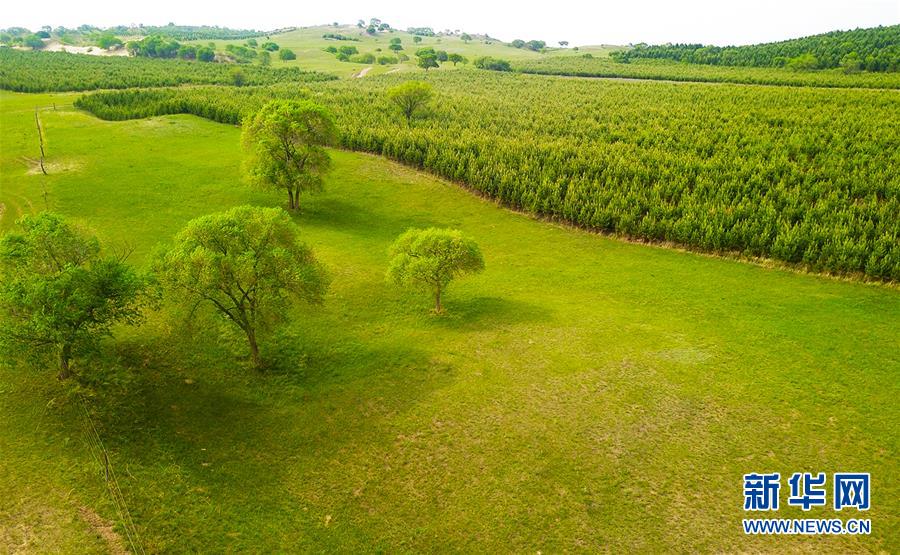 （新華全媒頭條&middot;圖文互動）（1）京津最近&ldquo;大沙盆&rdquo;逆轉(zhuǎn)記