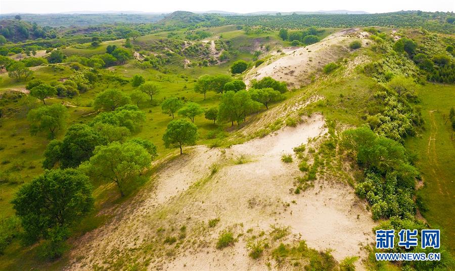 （新華全媒頭條&middot;圖文互動）（7）京津最近&ldquo;大沙盆&rdquo;逆轉(zhuǎn)記