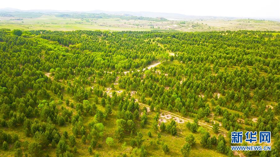 （新華全媒頭條&middot;圖文互動）（8）京津最近&ldquo;大沙盆&rdquo;逆轉(zhuǎn)記