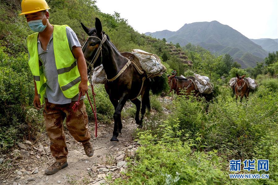 (圖文互動)(4)北京:治沙20載 逾854萬畝林海拒風沙