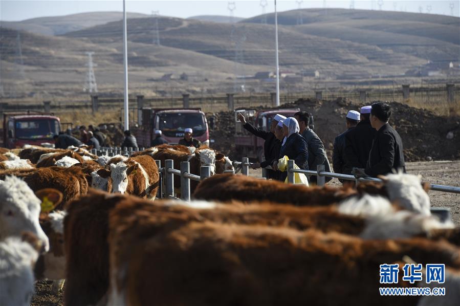 （在習(xí)近平新時代中國特色社會主義思想指引下&mdash;&mdash;新時代新作為新篇章&middot;習(xí)近平總書記關(guān)切事&middot;圖文互動）（2）六盤山下的誓言&mdash;&mdash;來自寧夏的脫貧故事