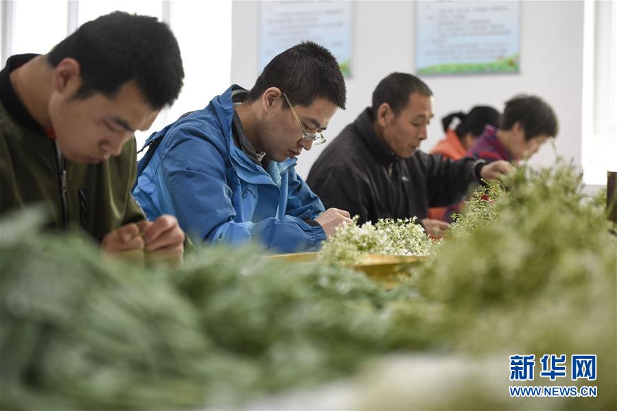 （在習(xí)近平新時代中國特色社會主義思想指引下&mdash;&mdash;新時代新作為新篇章&middot;習(xí)近平總書記關(guān)切事&middot;圖文互動）（5）六盤山下的誓言&mdash;&mdash;來自寧夏的脫貧故事