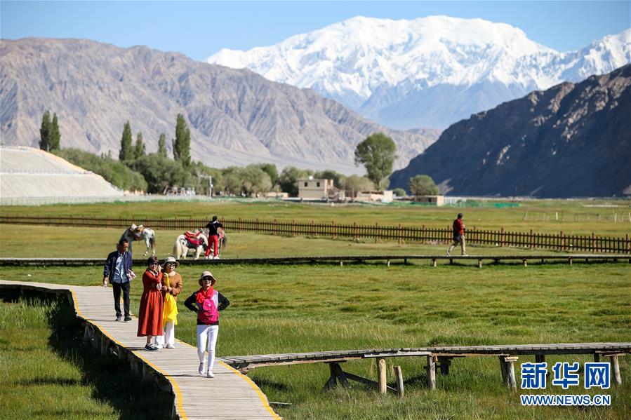 （新華全媒頭條&middot;圖文互動）（15）飛吧，&ldquo;帕米爾雄鷹&rdquo;！