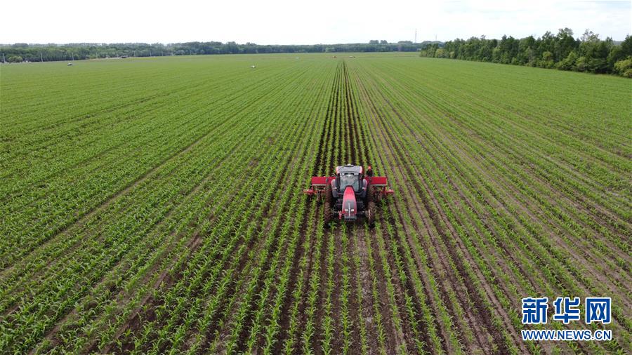 （在習(xí)近平新時代中國特色社會主義思想指引下&mdash;&mdash;新時代新作為新篇章&middot;習(xí)近平總書記關(guān)切事&middot;圖文互動）（5）讓每一寸耕地都成為豐收的沃土&mdash;&mdash;我國加強(qiáng)耕地保護(hù)推進(jìn)&ldquo;藏糧于地&rdquo;