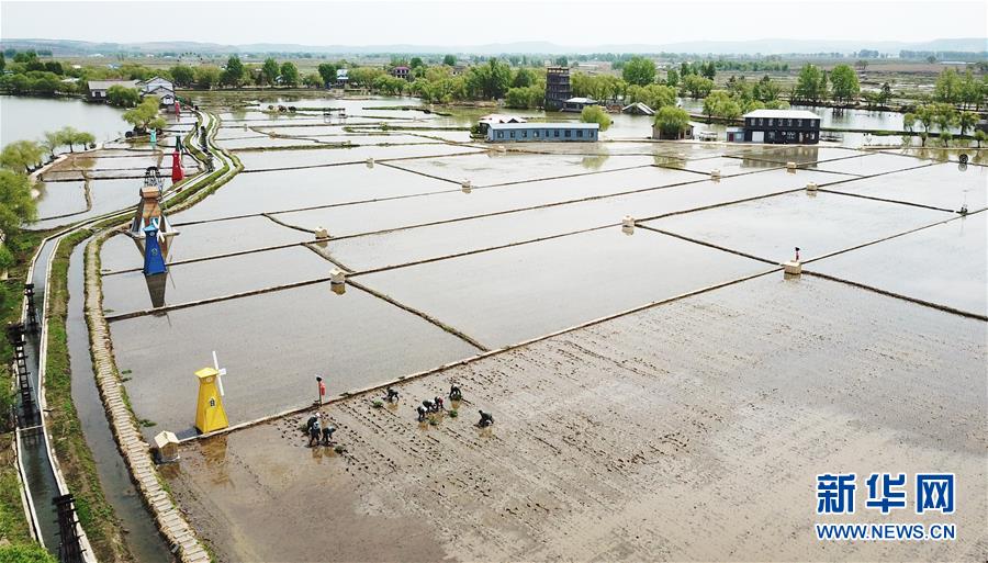 (在習(xí)近平新時(shí)代中國(guó)特色社會(huì)主義思想指引下——新時(shí)代新作為新篇章·習(xí)近平總書(shū)記關(guān)切事·圖文互動(dòng))(1)讓每一寸耕地都成為豐收的沃土——我國(guó)加強(qiáng)耕地保護(hù)推進(jìn)“藏糧于地”