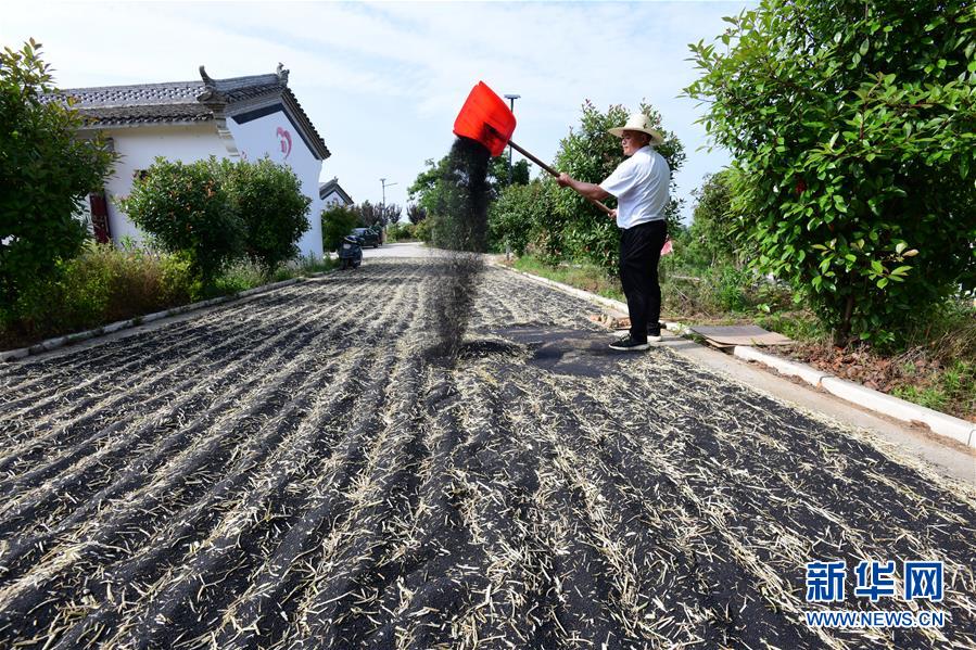 （決戰(zhàn)決勝脫貧攻堅(jiān)&middot;圖文互動(dòng)）（1）貧困戶老楊的人生&ldquo;三級(jí)跳&rdquo;