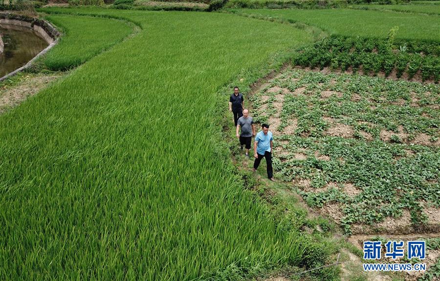 （圖文互動(dòng)）（6）湘南深山，堅(jiān)守扶貧一線的黨員之家