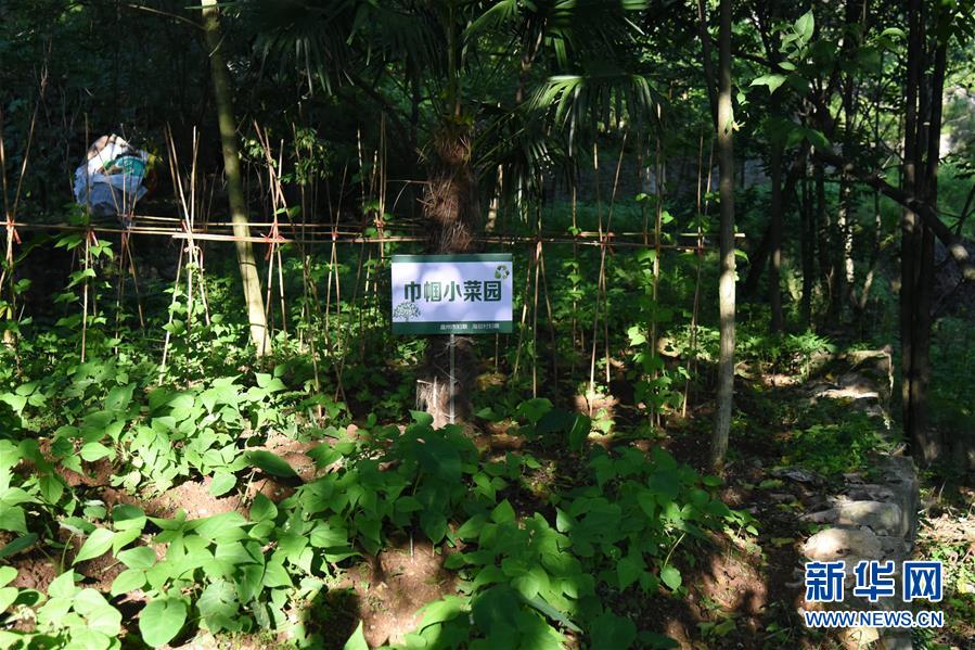 (鄉(xiāng)村振興·圖文互動(dòng))(5)海壩成“畫”