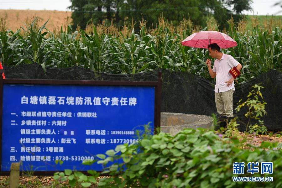 （防汛抗洪&middot;圖文互動）（1）&ldquo;險(xiǎn)情不可怕，可怕的是不能及時(shí)發(fā)現(xiàn)險(xiǎn)情&rdquo;&mdash;&mdash;洞庭湖巡堤查險(xiǎn)現(xiàn)場直擊