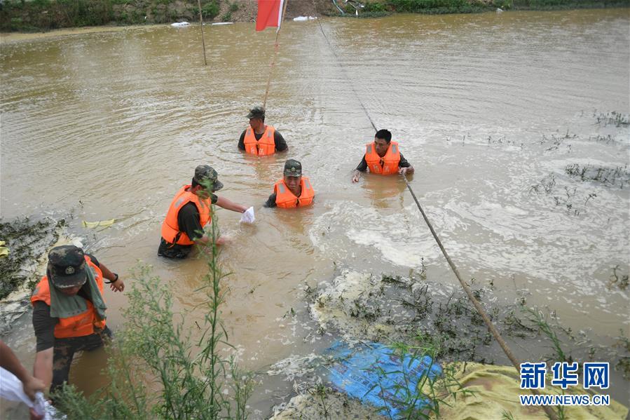 （防汛抗洪&middot;圖文互動(dòng)）（1）&ldquo;大堤上有了&lsquo;導(dǎo)彈綠&rsquo;，我們老百姓安了心&rdquo;