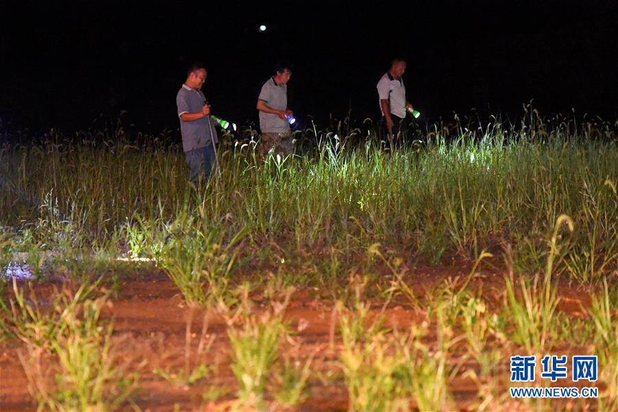 （防汛抗洪&middot;圖文互動）（2）&ldquo;保衛(wèi)家園，誰都不能是旁觀者&rdquo;&mdash;&mdash;夜訪洞庭湖大堤防汛一線