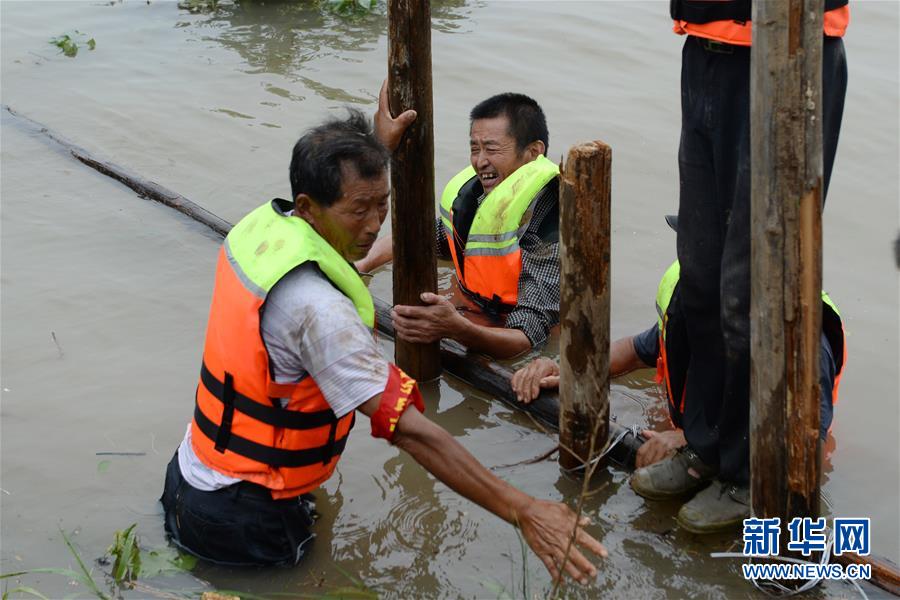 (防汛抗洪)(1)安徽樅陽(yáng):搶險(xiǎn)江心洲