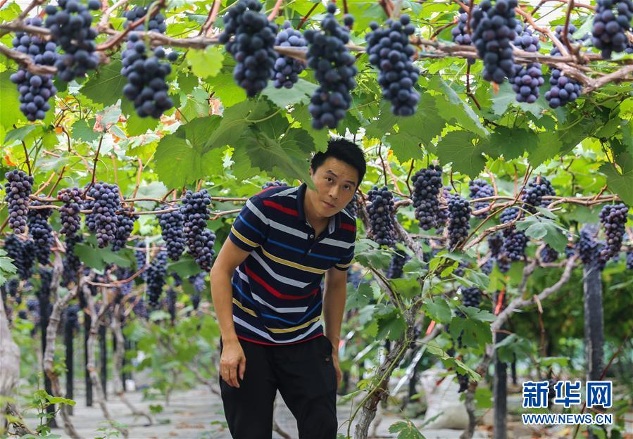 （新華全媒頭條&middot;走向我們的小康生活&middot;圖文互動(dòng)）（9）奮斗繪就&ldquo;新天府&rdquo;&mdash;&mdash;川蜀大地干群&ldquo;戰(zhàn)貧&rdquo;軌跡掃描