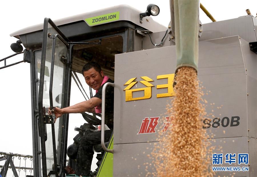 (在習(xí)近平新時(shí)代中國特色社會(huì)主義思想指引下——新時(shí)代新作為新篇章·習(xí)近平總書記關(guān)切事·圖文互動(dòng))(3)食為政首——穩(wěn)住農(nóng)業(yè)基本盤增添發(fā)展底氣