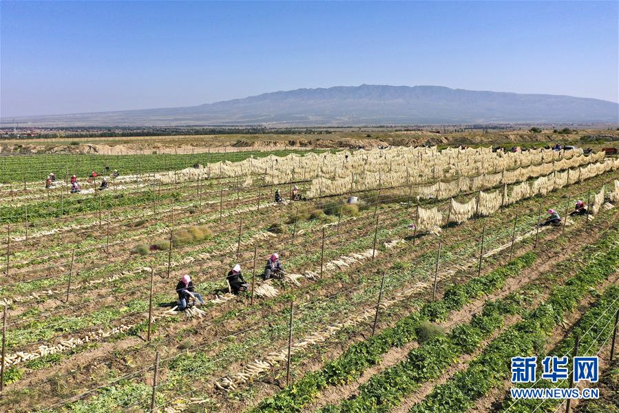 （新華全媒頭條&middot;走向我們的小康生活&middot;圖文互動(dòng)）（8）23萬(wàn)人的命運(yùn)轉(zhuǎn)折&mdash;&mdash;我國(guó)最大易地生態(tài)移民安置區(qū)的脫貧密碼