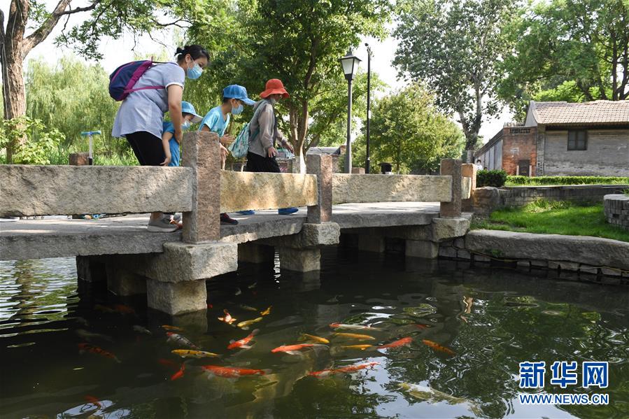(新華全媒頭條·圖文互動)(7)老胡同里的新生活——北京老城探訪記