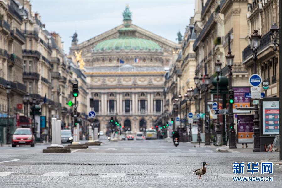 (國(guó)際·圖文互動(dòng))(4)特稿:穿越寒暑 無(wú)問(wèn)西東——寫在新冠疫情構(gòu)成“國(guó)際關(guān)注的突發(fā)公共衛(wèi)生事件”半年之際