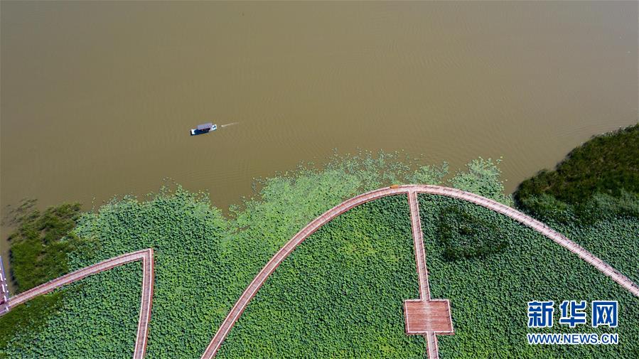 （在習(xí)近平新時(shí)代中國特色社會(huì)主義思想指引下&mdash;&mdash;新時(shí)代新作為新篇章&middot;習(xí)近平總書記關(guān)切事&middot;圖文互動(dòng)）（8）綠色映底蘊(yùn)，山水見初心&mdash;&mdash;生態(tài)優(yōu)先、綠色發(fā)展持續(xù)造福群眾美好生活