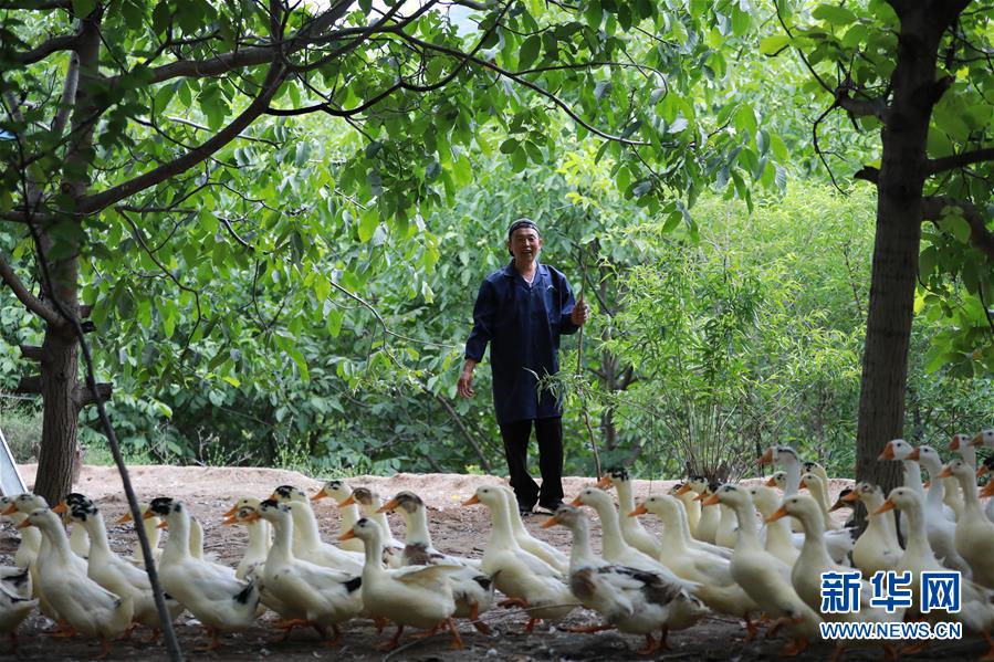 (新華全媒頭條·圖文互動)(8)穩(wěn)中求進(jìn) 奮勇前進(jìn)——從中央政治局會議看中國經(jīng)濟(jì)走勢