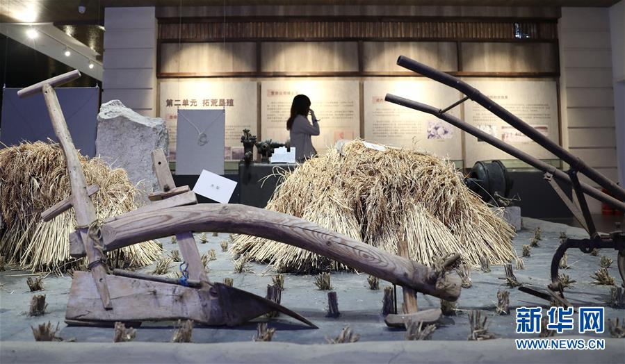 (新華全媒頭條·走向我們的小康生活·圖文互動(dòng))(10)“南大荒”變“稻蟹鄉(xiāng)”——資源枯竭型城市盤錦的鄉(xiāng)村振興之路