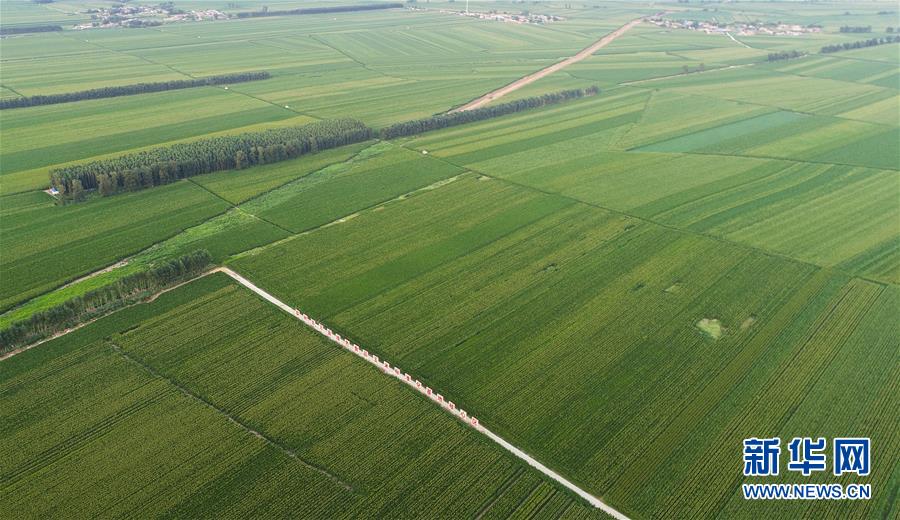 （在習(xí)近平新時(shí)代中國(guó)特色社會(huì)主義思想指引下&mdash;&mdash;新時(shí)代新作為新篇章&middot;習(xí)近平總書記關(guān)切事&middot;圖文互動(dòng)）（2）為黑土加&ldquo;油&rdquo;&mdash;&mdash;&ldquo;耕地中的大熊貓&rdquo;，我們這樣保護(hù)