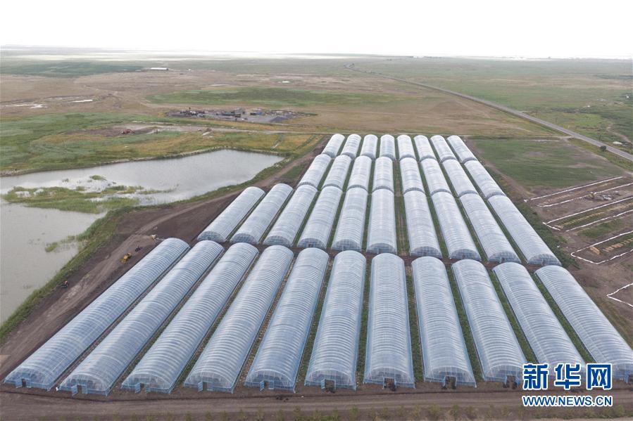 （決戰(zhàn)決勝脫貧攻堅(jiān)&middot;圖文互動）（2）幸福村的幸福&ldquo;菜&rdquo;事