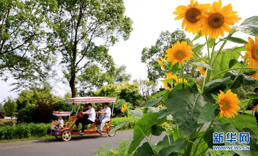 （新華全媒頭條&middot;走向我們的小康生活&middot;圖文互動(dòng)）（13）城市，讓人民生活更美好