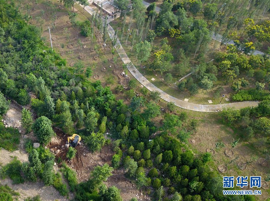 （新華全媒頭條&middot;圖文互動）（15）扎實(shí)推進(jìn)籌辦，不負(fù)青春韶華&mdash;&mdash;北京冬奧會籌辦備戰(zhàn)克服疫情影響平穩(wěn)推進(jìn)