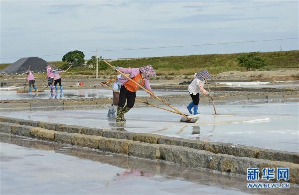 #(社會(huì))(4)福建泉州:防御臺(tái)風(fēng) 搶收原鹽
