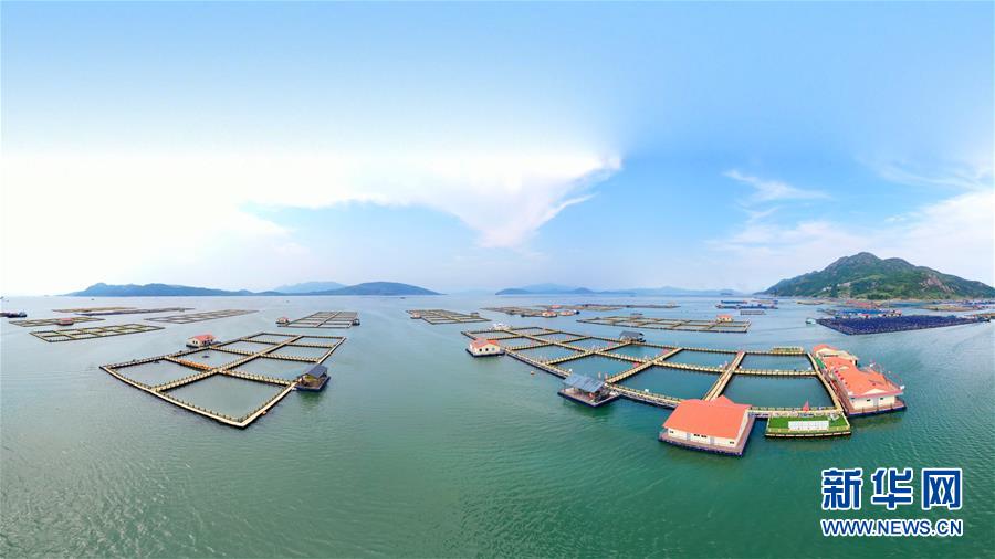 （新華全媒頭條&middot;走向我們的小康生活&middot;圖文互動(dòng)）（3）弱鳥(niǎo)先飛今翱翔&mdash;&mdash;閩東寧德振興啟示錄