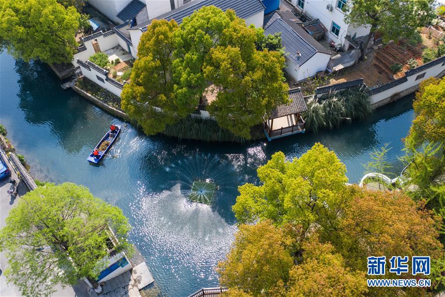 （新華全媒頭條&middot;圖文互動）（12）生態(tài)文明之光照耀美麗中國&mdash;&mdash;寫在綠水青山就是金山銀山理念提出15周年之際