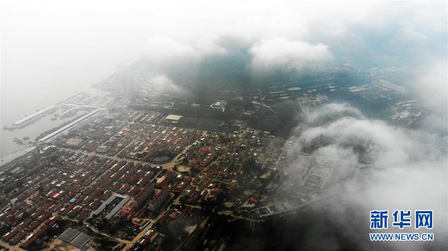 （走向我們的小康生活&middot;圖文互動(dòng)）（9）長(zhǎng)島漁民的扇貝喜事：從請(qǐng)客求人買到供不應(yīng)求