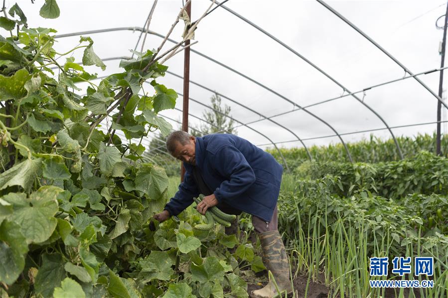 (決戰(zhàn)決勝脫貧攻堅(jiān)·圖文互動(dòng))(1)老張的菜園