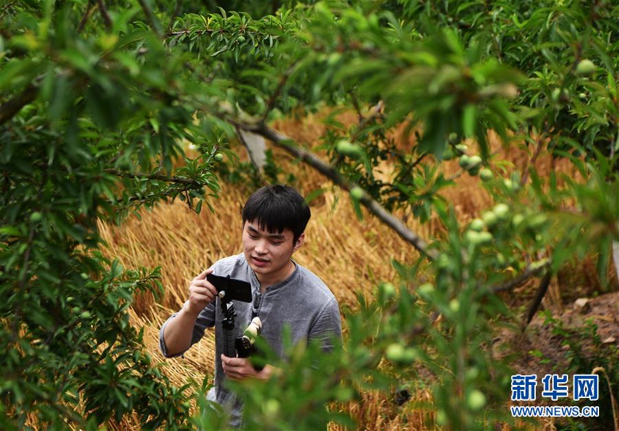(新華全媒頭條·走向我們的小康生活·圖文互動)(8)大城大鄉(xiāng)的“幸福協(xié)奏曲”——重慶推動高質(zhì)量發(fā)展創(chuàng)造高品質(zhì)生活紀事