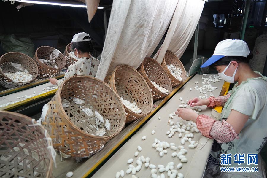 （走向我們的小康生活&middot;圖文互動）（1）綠了青山，紅了日子&mdash;&mdash;秦巴山區(qū)群眾繪出小康&ldquo;調(diào)色板&rdquo;