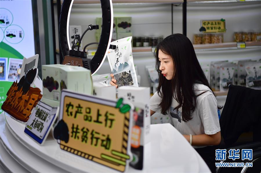 （走向我們的小康生活&middot;圖文互動）（3）綠了青山，紅了日子&mdash;&mdash;秦巴山區(qū)群眾繪出小康&ldquo;調(diào)色板&rdquo;