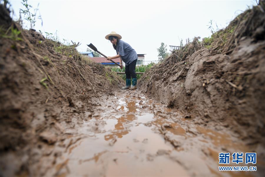 （新華全媒頭條&middot;圖文互動(dòng)）（5）&ldquo;洪線&rdquo;逆險(xiǎn)守家國&mdash;&mdash;抗洪一線的凡人星光