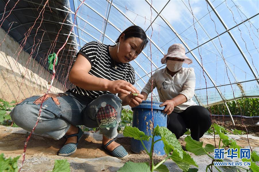 （新華全媒頭條&middot;走向我們的小康生活&middot;圖文互動）（5）&ldquo;苦甲&rdquo;不再，&ldquo;甘味&rdquo;綿長&mdash;&mdash;脫貧攻堅的甘肅味道
