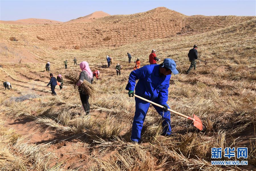 （新華全媒頭條&middot;走向我們的小康生活&middot;圖文互動）（6）&ldquo;苦甲&rdquo;不再，&ldquo;甘味&rdquo;綿長&mdash;&mdash;脫貧攻堅的甘肅味道