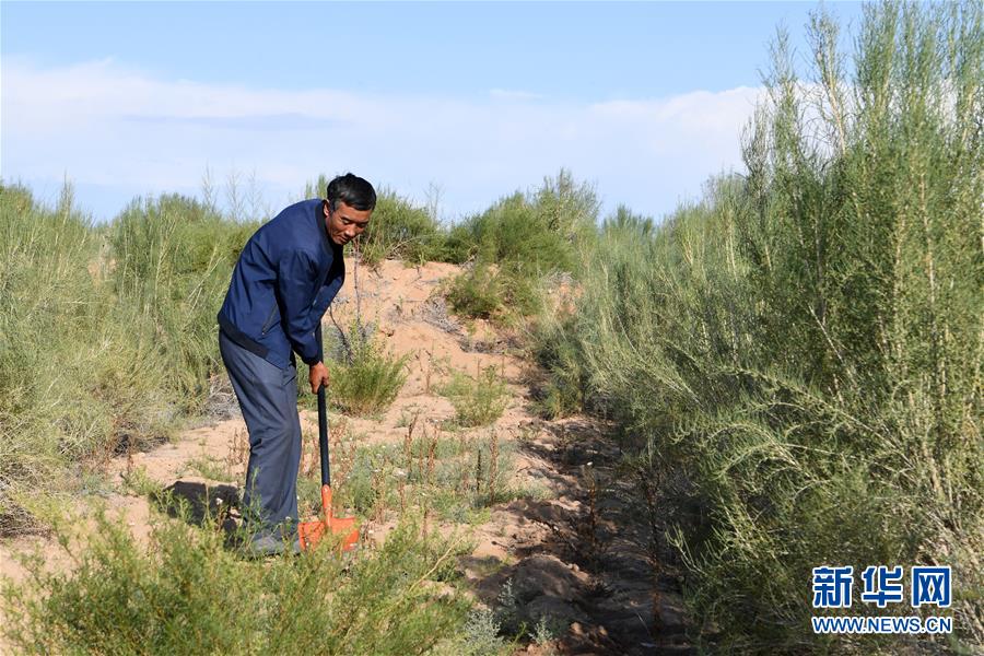 （新華全媒頭條&middot;走向我們的小康生活&middot;圖文互動）（8）&ldquo;苦甲&rdquo;不再，&ldquo;甘味&rdquo;綿長&mdash;&mdash;脫貧攻堅的甘肅味道