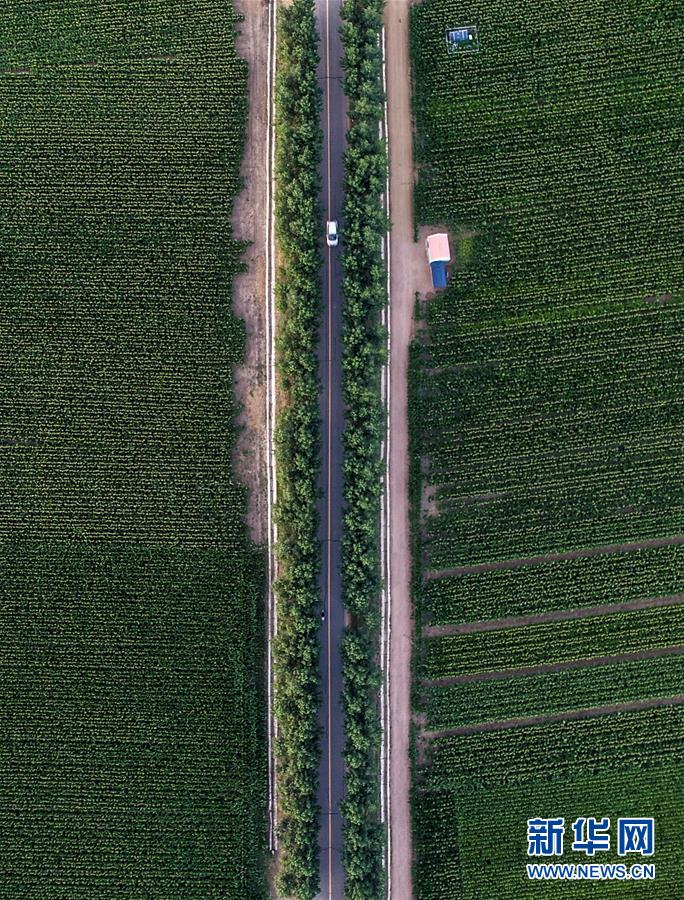 (新華全媒頭條·圖文互動(dòng))(3)為現(xiàn)代農(nóng)業(yè)探新路——來(lái)自吉林梨樹的田野報(bào)告