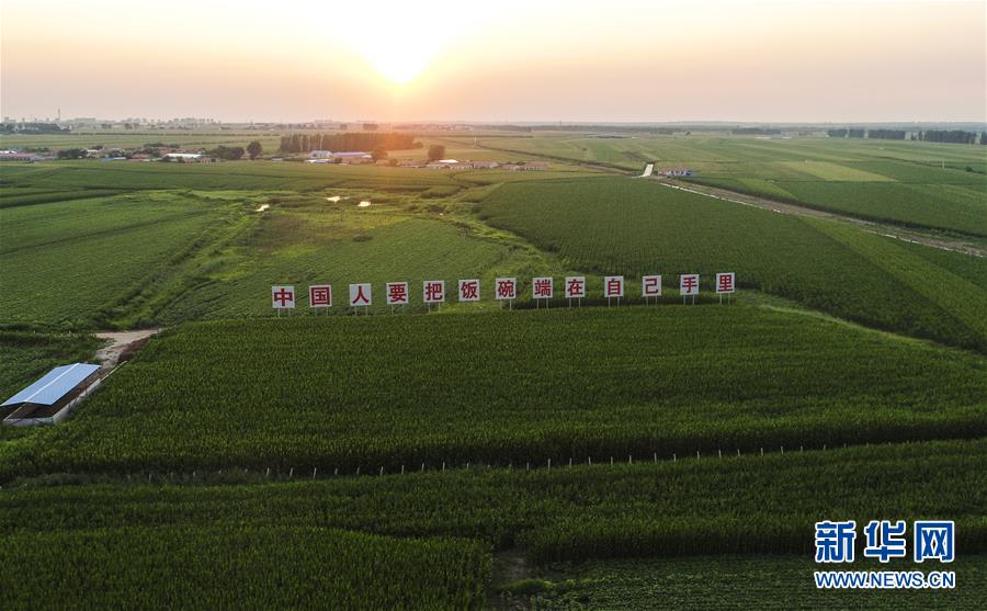 (新華全媒頭條·圖文互動(dòng))(6)為現(xiàn)代農(nóng)業(yè)探新路——來(lái)自吉林梨樹的田野報(bào)告