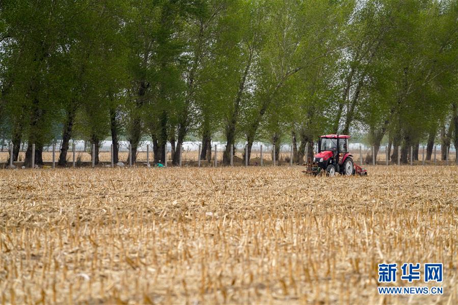 (新華全媒頭條·圖文互動(dòng))(9)為現(xiàn)代農(nóng)業(yè)探新路——來(lái)自吉林梨樹的田野報(bào)告