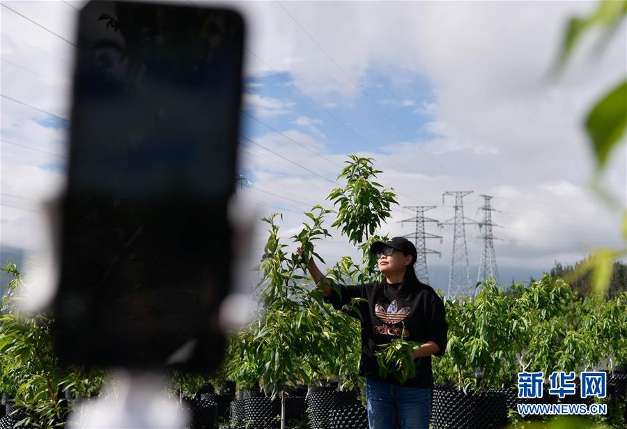 （決戰(zhàn)決勝脫貧攻堅&middot;督戰(zhàn)未摘帽貧困縣&middot;圖文互動）（4）12000多個&ldquo;火種&rdquo;點(diǎn)亮大涼山