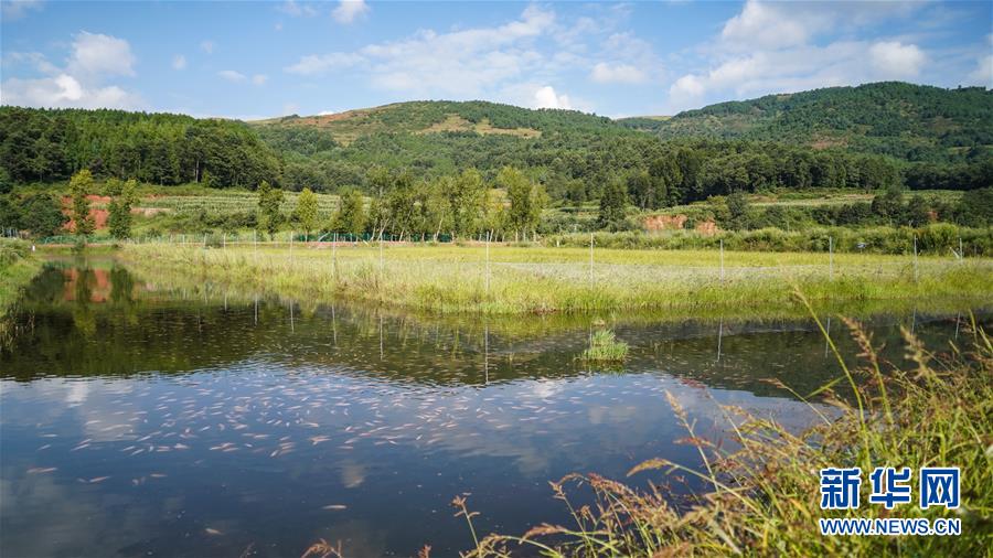 (新華全媒頭條·決戰(zhàn)決勝脫貧攻堅(jiān)·督戰(zhàn)未摘帽貧困縣·圖文互動(dòng))(4)苦蕎花開大涼山——四川7個(gè)未摘帽縣脫貧攻堅(jiān)一線觀察