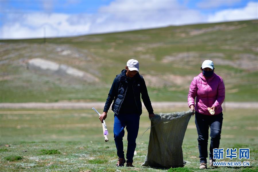(新華全媒頭條·走向我們的小康生活·圖文互動)(5)綠色繪就三江源——來自青海脫貧奔小康一線的蹲點(diǎn)報告
