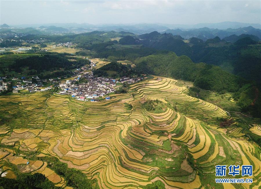 (決戰(zhàn)決勝脫貧攻堅·圖文互動)(3)一個小鎮(zhèn)“撬動”整縣脫貧——社會扶貧的貴州丹寨樣板