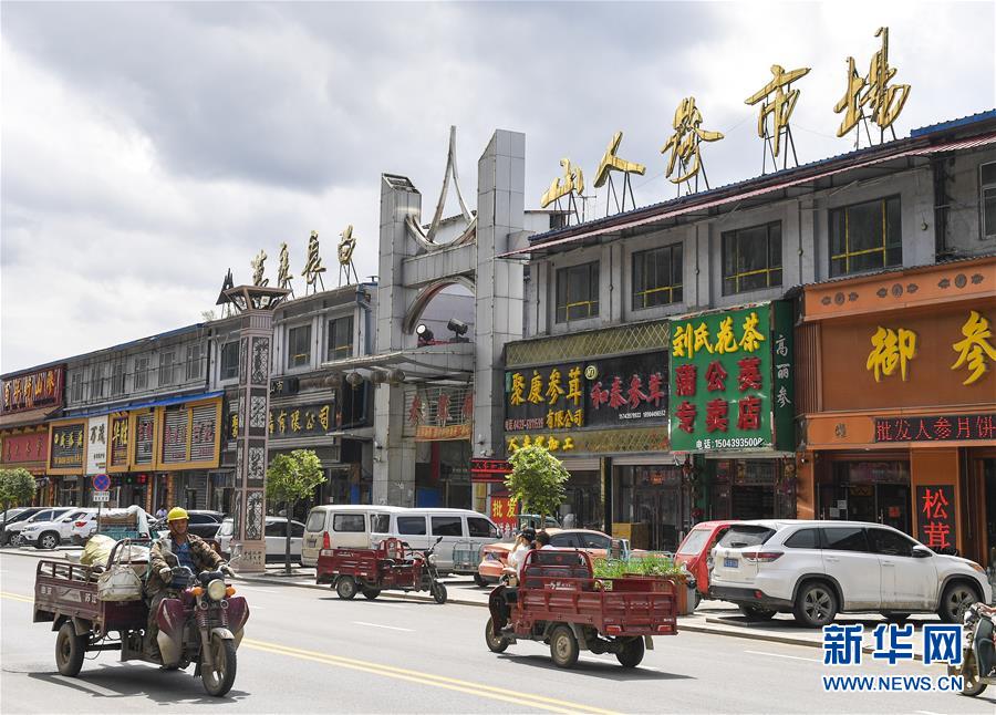 (走向我們的小康生活)(12)人參產(chǎn)業(yè)助民增收