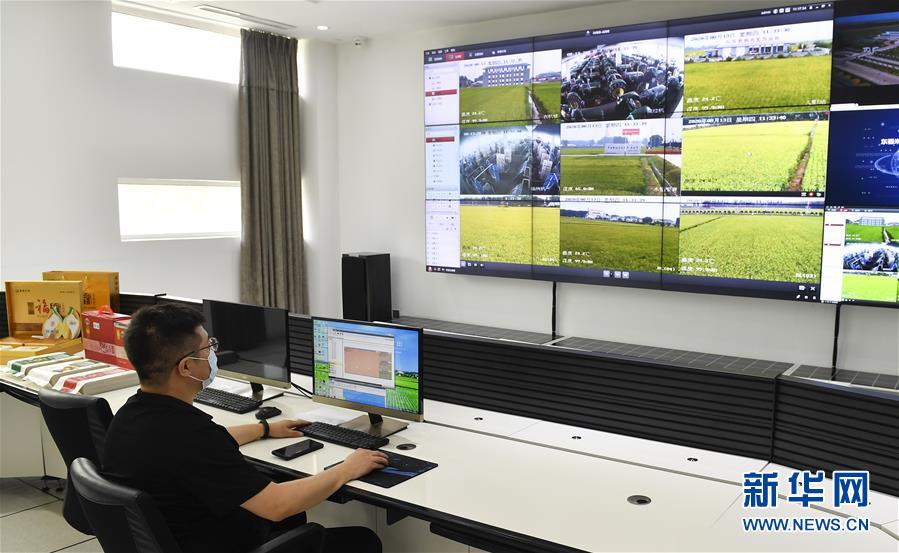 （新華全媒頭條&middot;走向我們的小康生活&middot;圖文互動）（4）黑土地上是我家&mdash;&mdash;在吉林，一瞥中國東北鄉(xiāng)村美麗未來